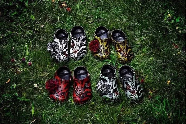 无法灭绝的洞洞鞋