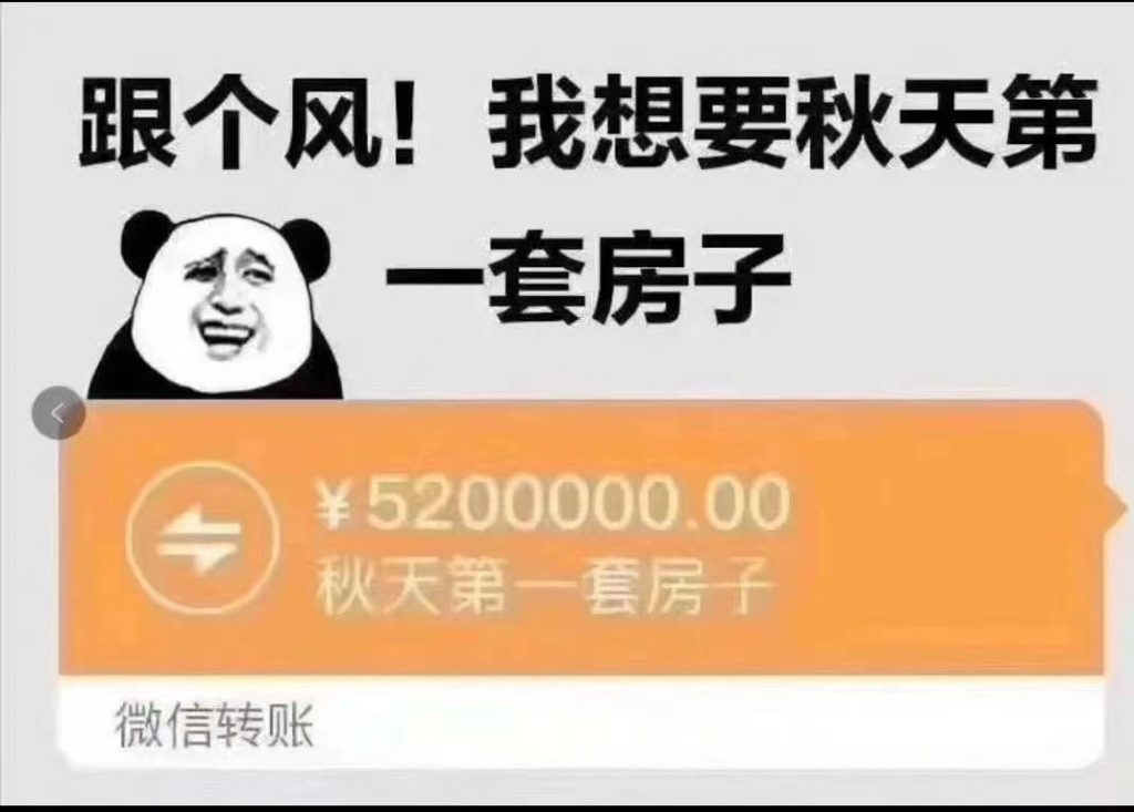 你喝到“秋天的第一杯奶茶”了吗？