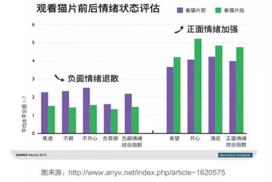 豆瓣青年独宠猫？