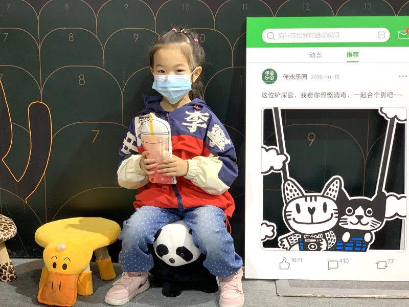 豆瓣青年独宠猫？