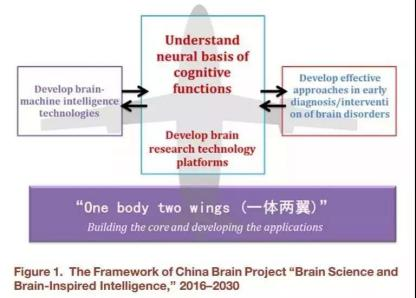 脑科学“出圈”