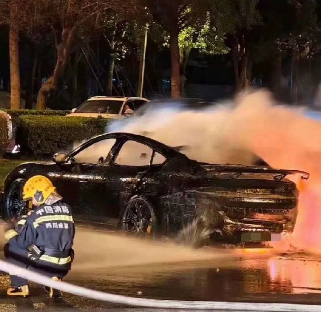 隐藏式车门把手害了多少条命？|快评